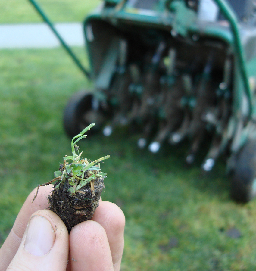 Lawn Aeration