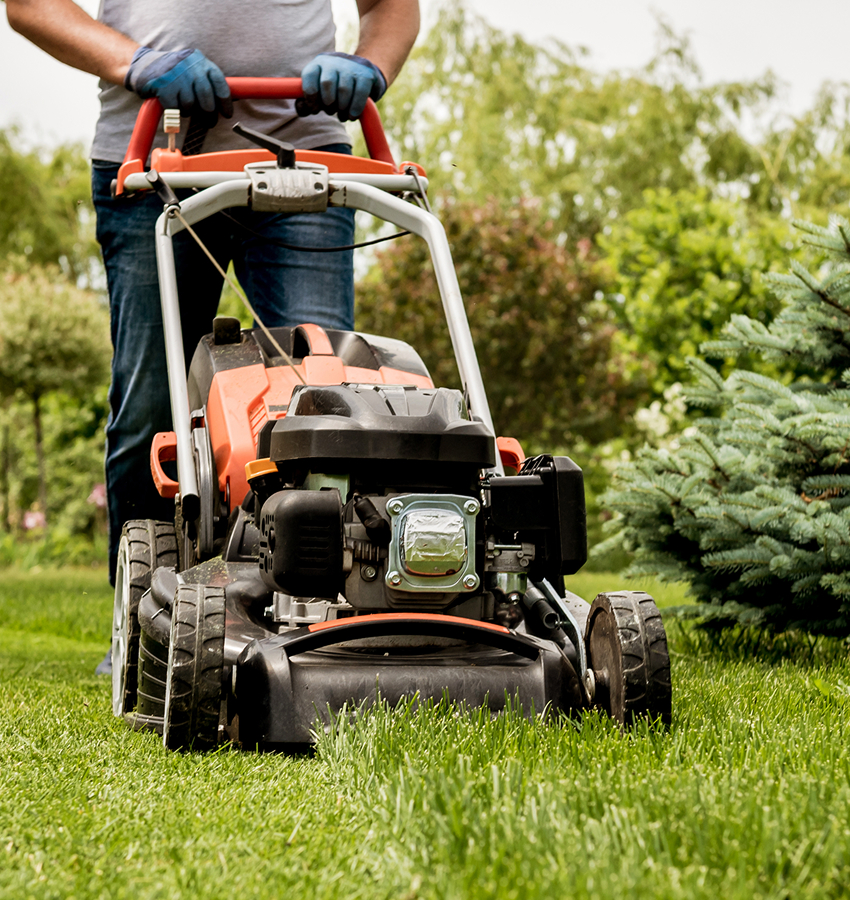 Lawn Mowing